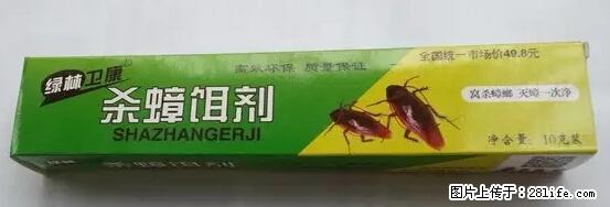 【紧急提醒】如果有“防疫站工作人员”上门灭杀蟑螂，请立刻报警 - 灌水专区 - 温州生活社区 - 温州28生活网 wz.28life.net