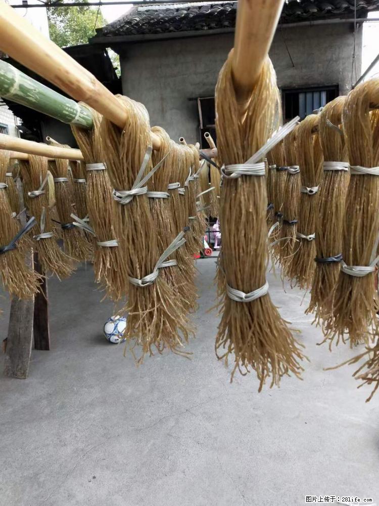 【灌阳正宗红薯粉】美女家里自己做的，干净卫生，假一赔十，价格合理，抢购电话：13737312895 - 美食天地 - 温州生活社区 - 温州28生活网 wz.28life.net
