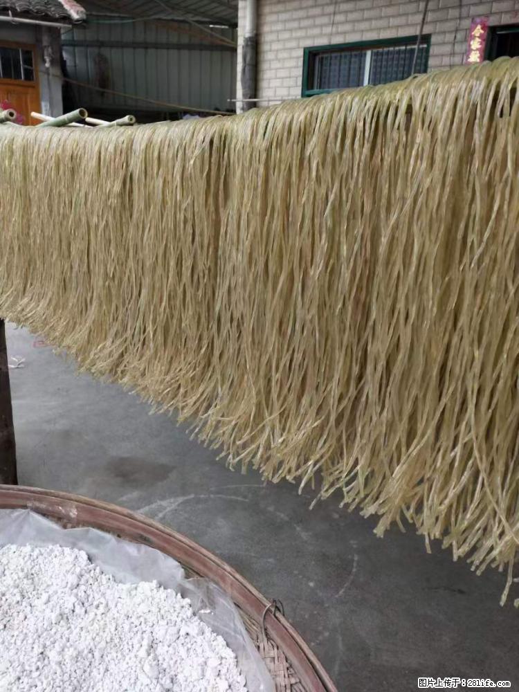 【灌阳正宗红薯粉】美女家里自己做的，干净卫生，假一赔十，价格合理，抢购电话：13737312895 - 美食天地 - 温州生活社区 - 温州28生活网 wz.28life.net