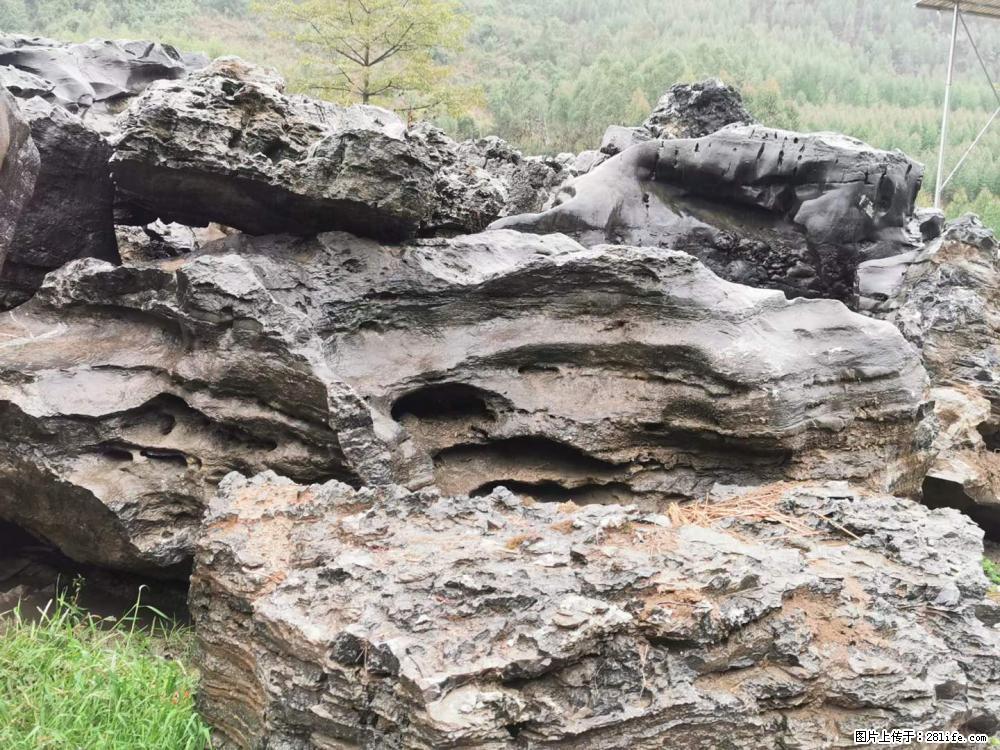 风景石、假山石大量有货，有需要的欢迎联系 - 新手上路 - 温州生活社区 - 温州28生活网 wz.28life.net