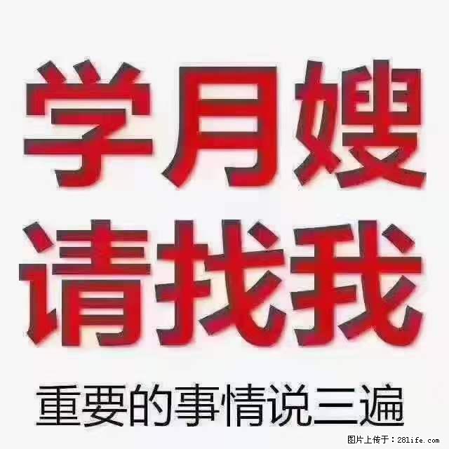 为什么要学习月嫂，育婴师？ - 其他广告 - 广告专区 - 温州分类信息 - 温州28生活网 wz.28life.net