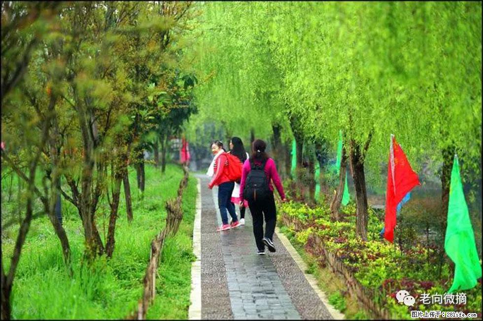 【春天，广西桂林灌阳县向您发出邀请！】江口老街又逢春 - 游山玩水 - 温州生活社区 - 温州28生活网 wz.28life.net