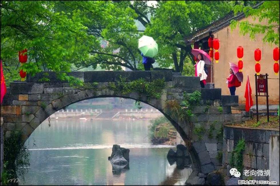 【春天，广西桂林灌阳县向您发出邀请！】江口老街又逢春 - 游山玩水 - 温州生活社区 - 温州28生活网 wz.28life.net