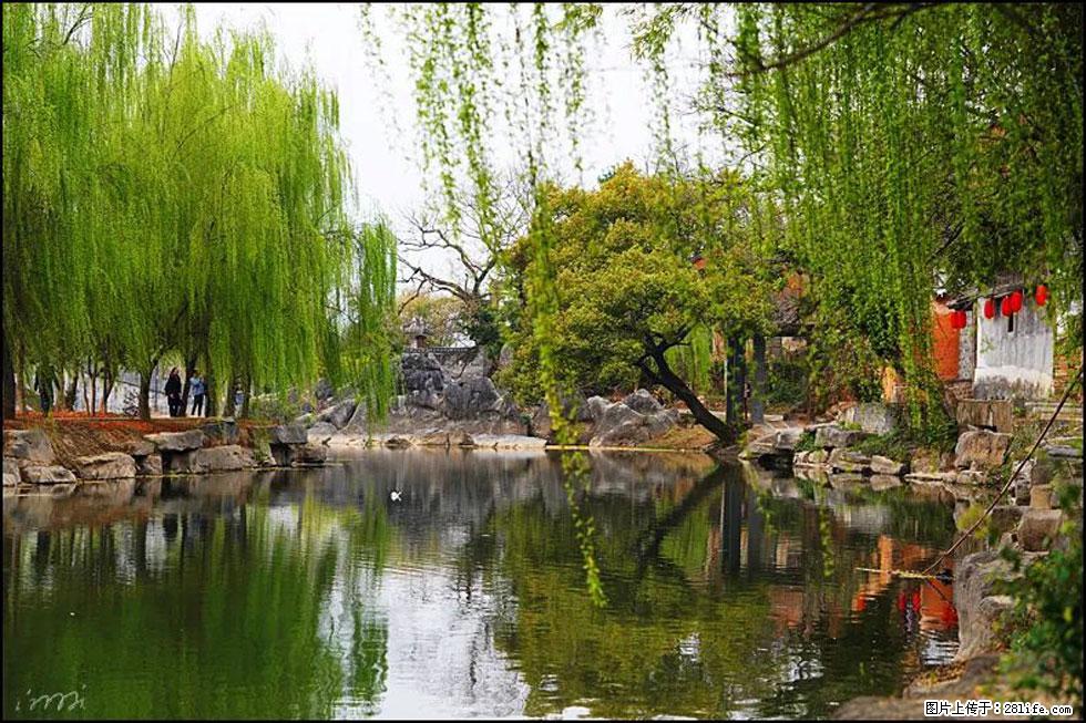 【春天，广西桂林灌阳县向您发出邀请！】江口老街又逢春 - 游山玩水 - 温州生活社区 - 温州28生活网 wz.28life.net