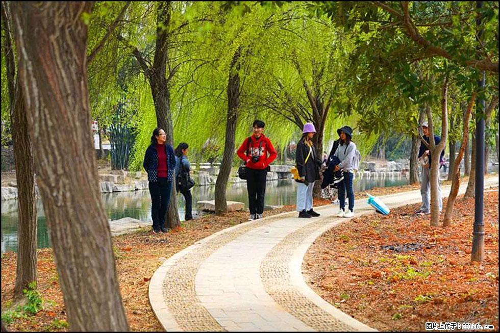 【春天，广西桂林灌阳县向您发出邀请！】江口老街又逢春 - 游山玩水 - 温州生活社区 - 温州28生活网 wz.28life.net