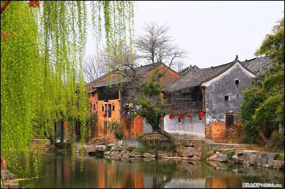 【春天，广西桂林灌阳县向您发出邀请！】江口老街又逢春 - 游山玩水 - 温州生活社区 - 温州28生活网 wz.28life.net