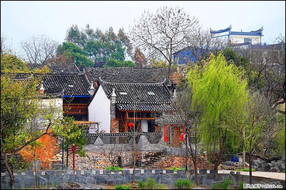 【春天，广西桂林灌阳县向您发出邀请！】江口老街又逢春 - 游山玩水 - 温州生活社区 - 温州28生活网 wz.28life.net