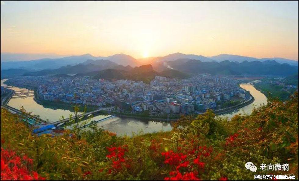 【春天，广西桂林灌阳县向您发出邀请！】登麒麟山，相约映山红 - 游山玩水 - 温州生活社区 - 温州28生活网 wz.28life.net