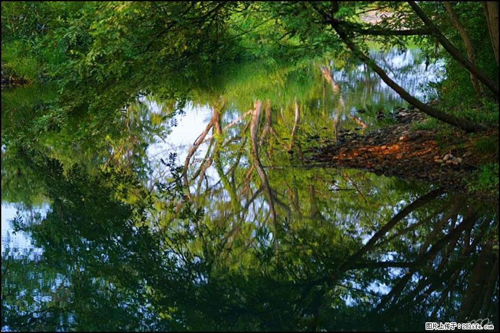 【春天，广西桂林灌阳县向您发出邀请！】熊家寨湿地公园 - 游山玩水 - 温州生活社区 - 温州28生活网 wz.28life.net