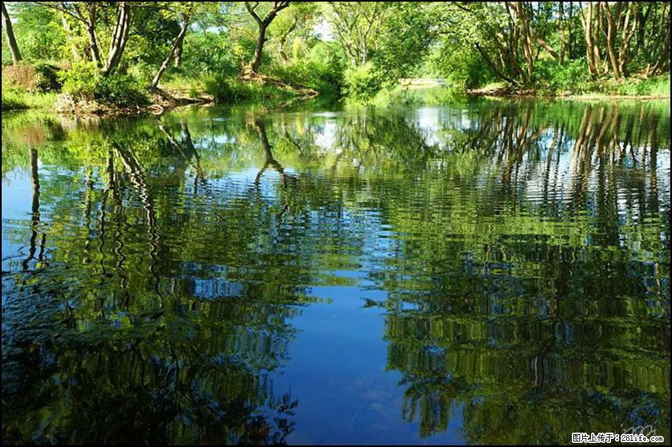 【春天，广西桂林灌阳县向您发出邀请！】熊家寨湿地公园 - 游山玩水 - 温州生活社区 - 温州28生活网 wz.28life.net
