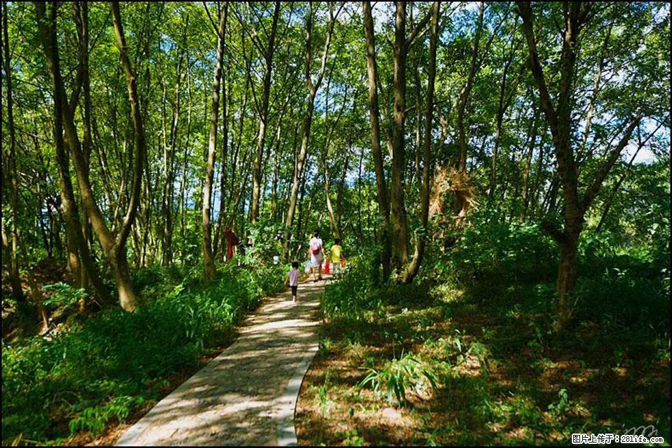 【春天，广西桂林灌阳县向您发出邀请！】熊家寨湿地公园 - 游山玩水 - 温州生活社区 - 温州28生活网 wz.28life.net