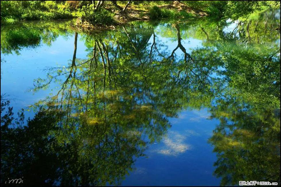 【春天，广西桂林灌阳县向您发出邀请！】熊家寨湿地公园 - 游山玩水 - 温州生活社区 - 温州28生活网 wz.28life.net