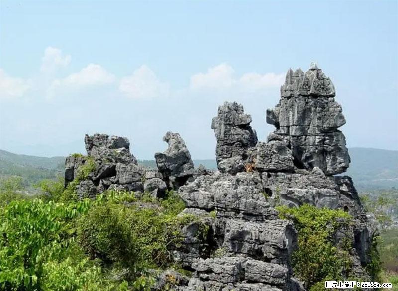 桂林旅游名城景点:灌阳文市石林 - 游山玩水 - 温州生活社区 - 温州28生活网 wz.28life.net