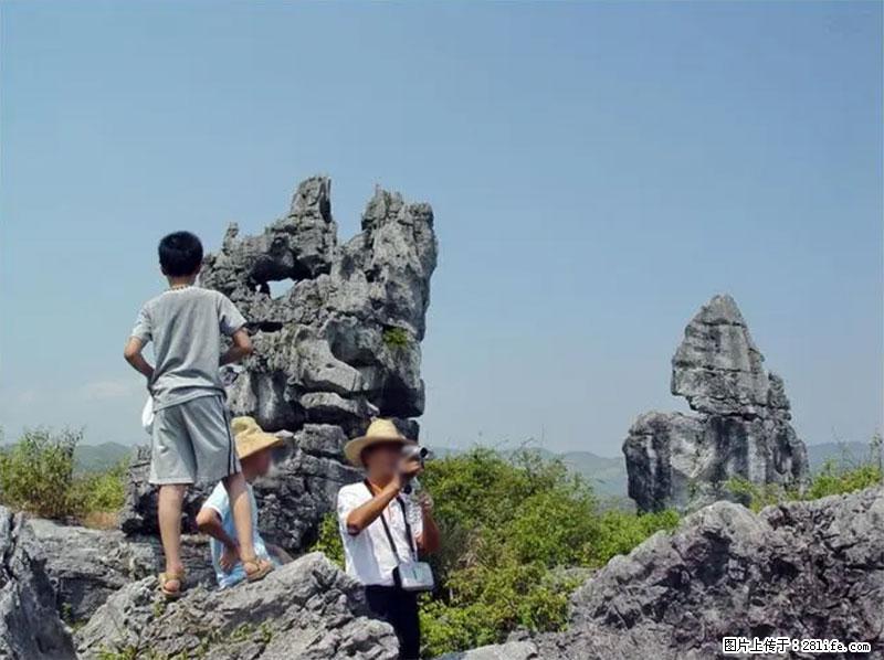 桂林旅游名城景点:灌阳文市石林 - 游山玩水 - 温州生活社区 - 温州28生活网 wz.28life.net