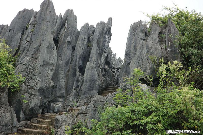 桂林旅游名城景点:灌阳文市石林 - 游山玩水 - 温州生活社区 - 温州28生活网 wz.28life.net