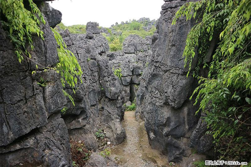 桂林旅游名城景点:灌阳文市石林 - 游山玩水 - 温州生活社区 - 温州28生活网 wz.28life.net