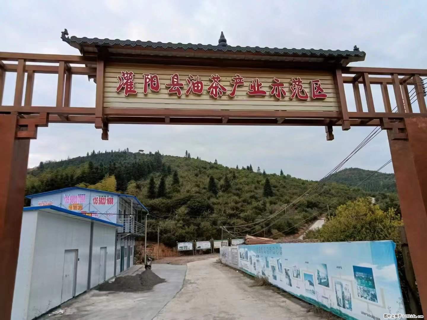 【灌阳县油茶产业示范区】一个有着充实的精神生活的人,对待身外之物自会有一种淡泊的态度 - 土特产 - 饮食特产 - 温州分类信息 - 温州28生活网 wz.28life.net