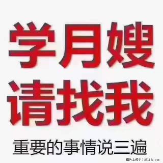 为什么要学习月嫂，育婴师？ - 温州28生活网 wz.28life.net