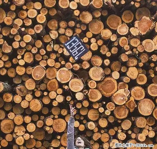 辞掉工作周游世界?现在他们在洗厕所…… - 游山玩水 - 温州生活社区 - 温州28生活网 wz.28life.net