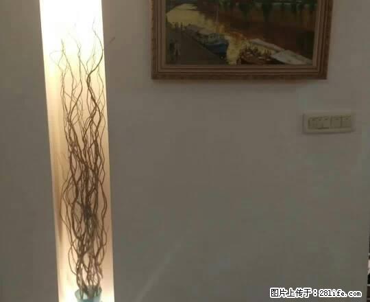 洪殿洪福路附近 楼层好 精装修 家电齐全 租金4000 - 房屋出租 - 房屋租售 - 温州分类信息 - 温州28生活网 wz.28life.net