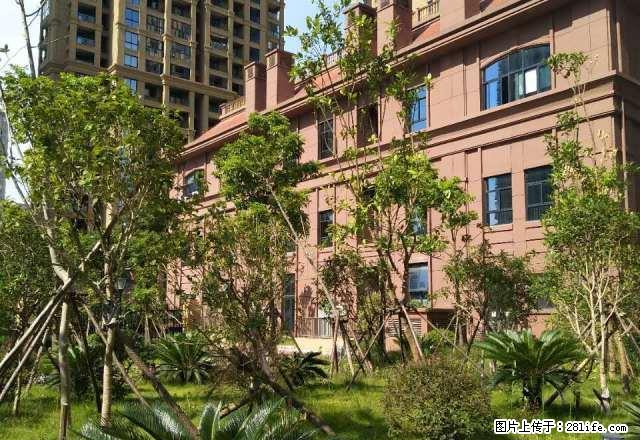 万象城国宾前林家园80平两室出租全新精装家具齐全 拎包入住 - 房屋出租 - 房屋租售 - 温州分类信息 - 温州28生活网 wz.28life.net
