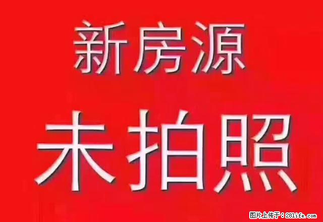 《巨信地产》荣新路小区好房出租有五个房间做员工宿舍 - 房屋出租 - 房屋租售 - 温州分类信息 - 温州28生活网 wz.28life.net