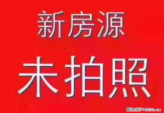 《巨信地产》荣新路小区好房出租有五个房间做员工宿舍 - 温州28生活网 wz.28life.net