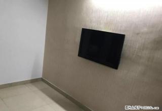 出租上美小区两室一厅3700/月环境好绿化大家电全齐拎包入住 - 温州28生活网 wz.28life.net