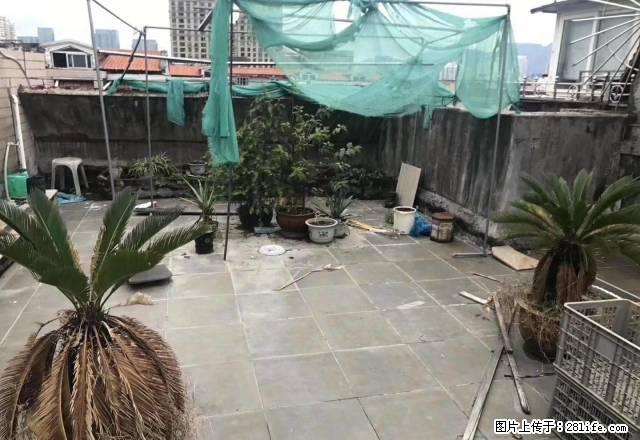 时代广场对面3室清爽装修仅租3000月 - 房屋出租 - 房屋租售 - 温州分类信息 - 温州28生活网 wz.28life.net
