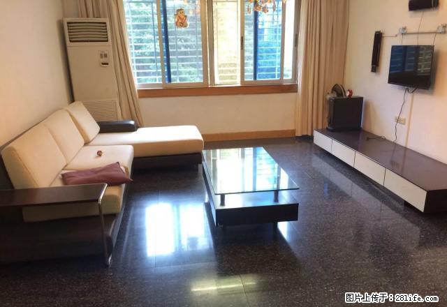 水心桦临近河边 双朝南 三室两厅 3楼 小区环境好 交通方便 - 房屋出租 - 房屋租售 - 温州分类信息 - 温州28生活网 wz.28life.net