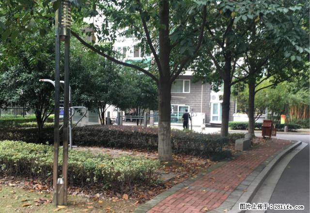 金汇昌精装出租4室2厅3卫只租6000 - 房屋出租 - 房屋租售 - 温州分类信息 - 温州28生活网 wz.28life.net