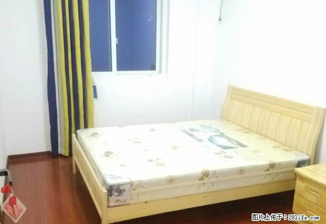 上江路 黄屿家园，3室1厅，三朝南。阳光直入 - 房屋出租 - 房屋租售 - 温州分类信息 - 温州28生活网 wz.28life.net