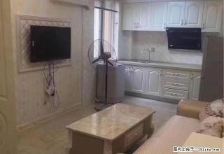 南塘街南塘五组团一室一厅一厨一卫全新豪华装修拎包入住 - 温州28生活网 wz.28life.net