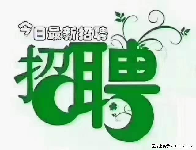 【招聘摄像师】待遇：试用期6000元/月，转正7000元/月+五险一金+餐补+节日福利+奖金 - 其他招聘信息 - 招聘求职 - 温州分类信息 - 温州28生活网 wz.28life.net