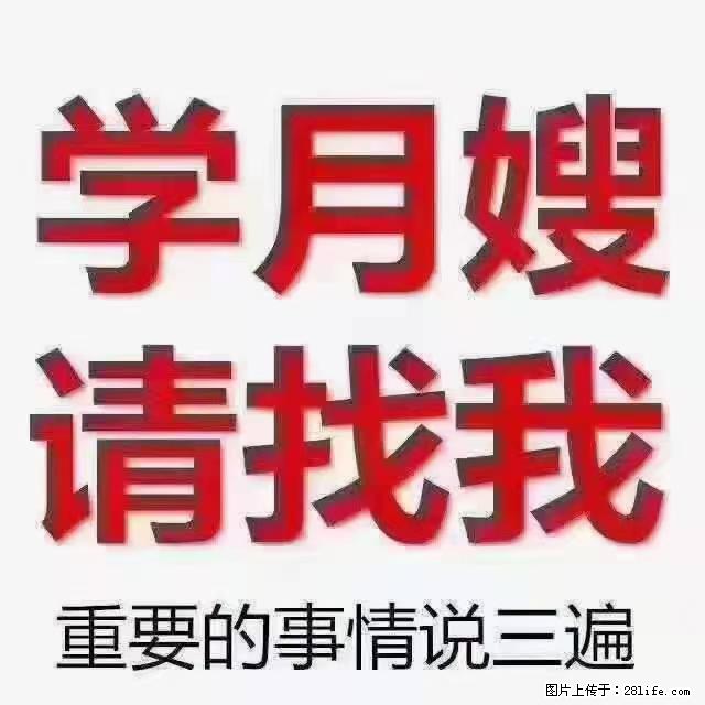 【招聘】月嫂，上海徐汇区 - 职场交流 - 温州生活社区 - 温州28生活网 wz.28life.net