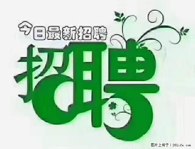 上海青浦区招仓管 - 职场交流 - 温州生活社区 - 温州28生活网 wz.28life.net