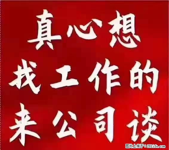 【上海】国企，医院招两名男保安，55岁以下，身高1.7米以上，无犯罪记录不良嗜好 - 职场交流 - 温州生活社区 - 温州28生活网 wz.28life.net