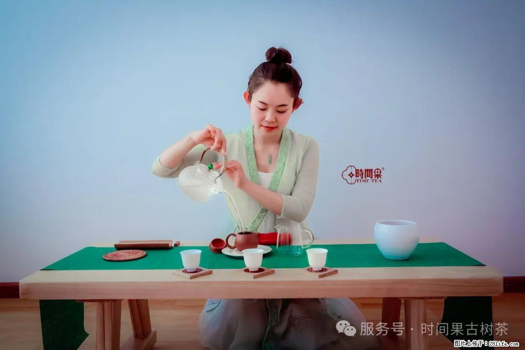 时间果百年古树龙珠普洱生茶 - 购物交流 - 温州生活社区 - 温州28生活网 wz.28life.net