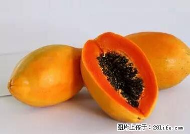 晕车、脚气、牙齿变黄、皮肤粗糙？学会这些三分钟搞定！ - 温州生活资讯 - 温州28生活网 wz.28life.net