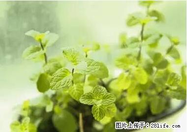 晕车、脚气、牙齿变黄、皮肤粗糙？学会这些三分钟搞定！ - 温州生活资讯 - 温州28生活网 wz.28life.net