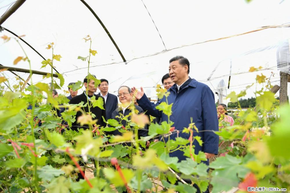 习近平赴广西考察调研 - 温州生活资讯 - 温州28生活网 wz.28life.net