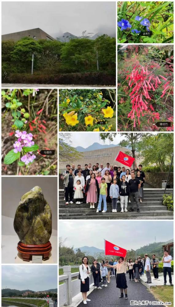 “粤灌文化 美好生活”油茶文化主题活动在广东深圳成功举办 - 温州生活资讯 - 温州28生活网 wz.28life.net