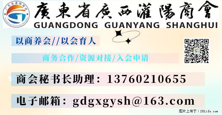 “粤灌文化 美好生活”油茶文化主题活动在广东深圳成功举办 - 温州生活资讯 - 温州28生活网 wz.28life.net