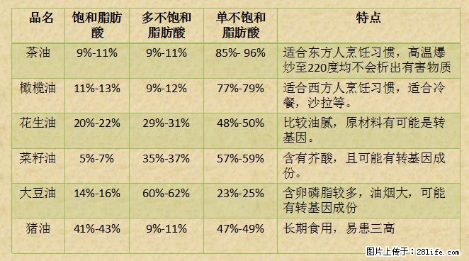 揭秘茶油的5大核心营养成分！被称为人体健康的“守护盾”！ - 温州生活资讯 - 温州28生活网 wz.28life.net