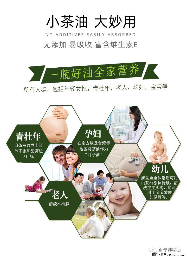 世界没有真相，只有认知，最好的食用油是中国的山茶油！ - 温州生活资讯 - 温州28生活网 wz.28life.net