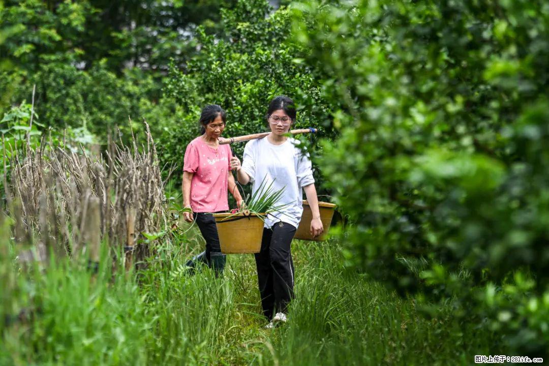 全网追的“扁担女孩”，找了一份暑假工，时薪12元 - 温州生活资讯 - 温州28生活网 wz.28life.net