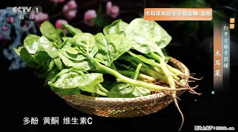 比牛奶补钙还厉害！凉血解毒、稳血糖...这菜冬天必吃，很多人却当草 - 温州生活资讯 - 温州28生活网 wz.28life.net