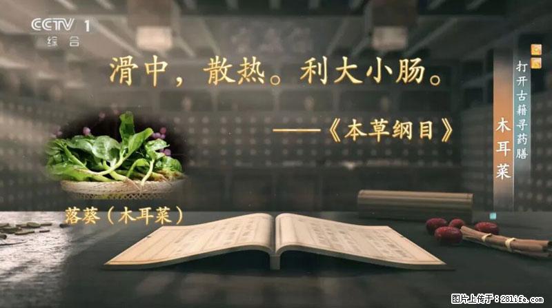 比牛奶补钙还厉害！凉血解毒、稳血糖...这菜冬天必吃，很多人却当草 - 温州生活资讯 - 温州28生活网 wz.28life.net