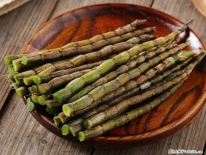 铁皮石斛的作用与功能主治 - 温州生活资讯 - 温州28生活网 wz.28life.net