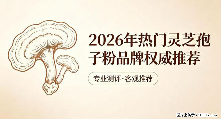 灵芝孢子粉含量越高越有效？2026 年七款热门品牌深度实测，肠胃敏感者避坑指南 - 温州生活资讯 - 温州28生活网 wz.28life.net